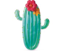foto van Intex Cactus Float