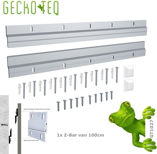 Set van twee zilverkleurige, metalen ophangstrips (Z-bars) van 100cm. Inclusief schroeven, pluggen en twee vierkante afstandhouders. Een cartoonkikker van Geckoteq lacht naar de camera.