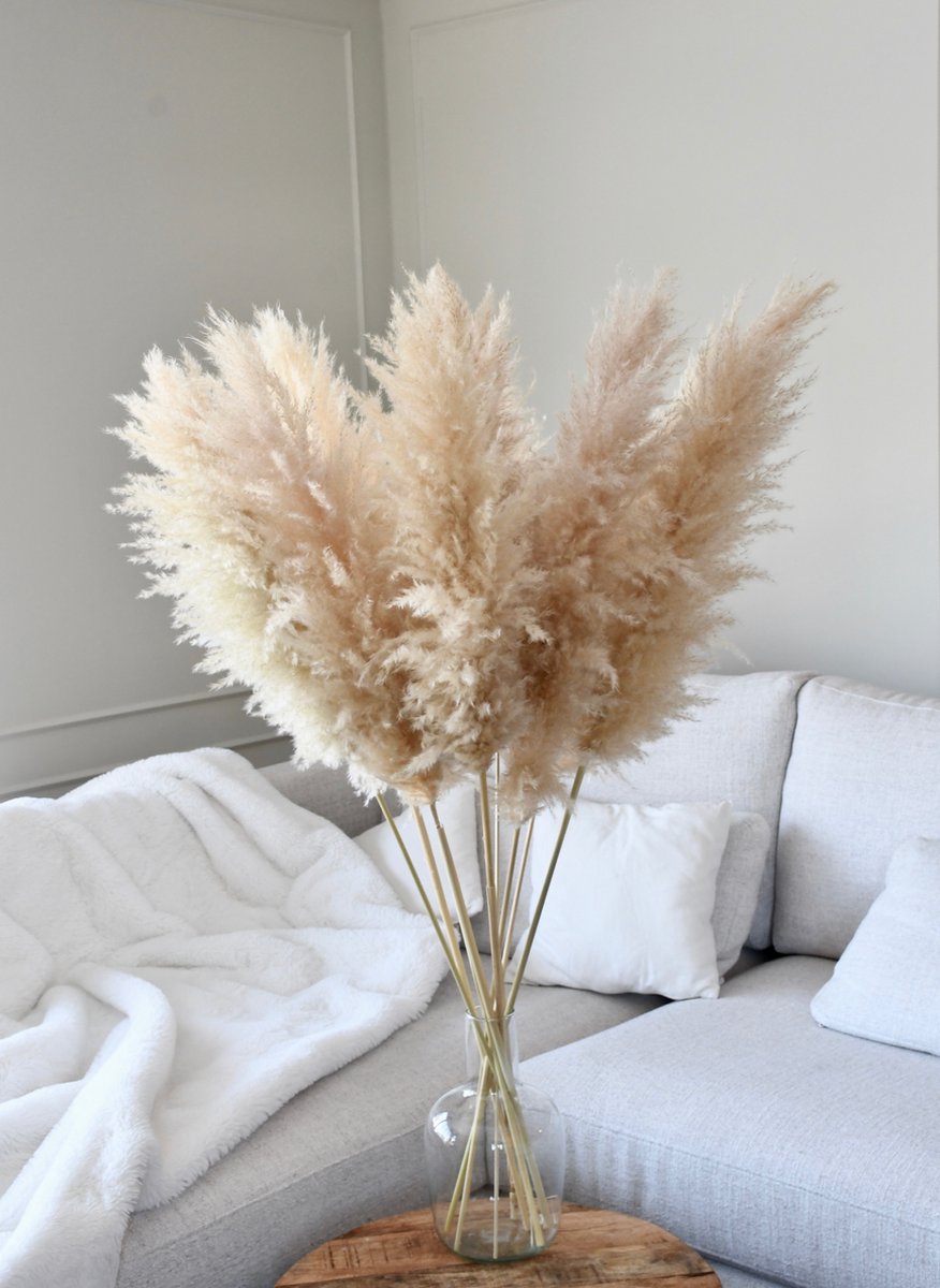 Luxe Beige Pampas pluimen | 10 stuks | XXL Pampasgras | Droogbloemen | 100 cm| Boeket decoratie pluimen | Woondecoratie | Decoratie | Luxury Living | Rietpluimen