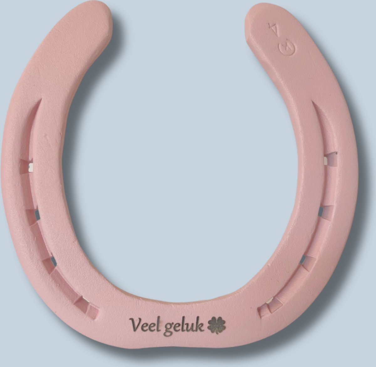 Abraham Sarah Cadeau Idee: Persoonlijk Gelukshoefijzer voor de 50-jarige