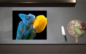 Inductieplaat Beschermer - Blauwe Kameleon op Gele Tulp tegen Zwarte Achtergrond - 60x52 cm - 2 mm Dik - Inductie Beschermer - Bescherming Inductiekookplaat - Kookplaat Beschermer van Zwart Vinyl