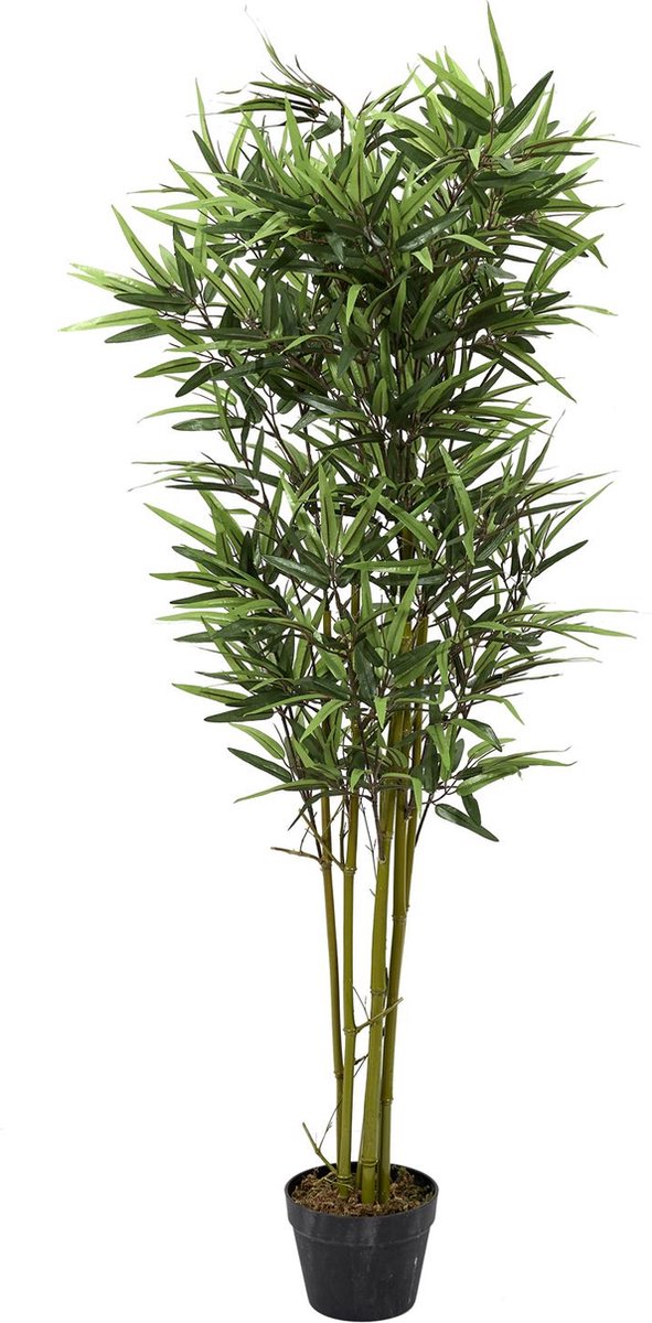 Naturn Living Kunstbamboe Plant – Ø 20 x 135 cm – Onderhoudsvrije Bamboe Kunstboom voor Kantoor, Woonkamer of Afscheiding – Duurzame Groene Interieurdecoratie - Groen