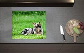 Inductieplaat Beschermer - Australische Herder Puppy Liggend in het Groene Grasveld - 60x51 cm - 2 mm Dik - Inductie Beschermer - Bescherming Inductiekookplaat - Kookplaat Beschermer van Zwart Vinyl