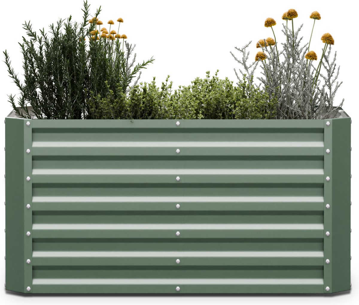 Blumfeldt High Grow Straight verhoogd bed, ergonomisch tuinbed van 575 liter gemaakt van roestvrij Galvalume staal voor groenten en kruiden - rugvriendelijk ontwerp, eenvoudige montage, vorstbestendig en compact