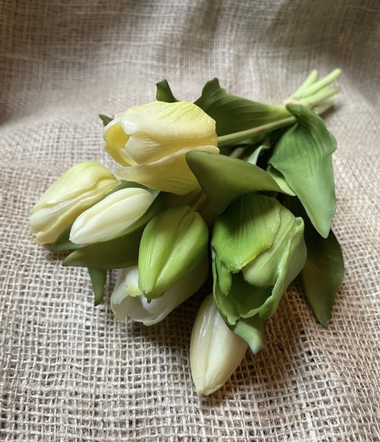 Kunstbloem Tulp - Groen / Wit - Real touch tulpen - 30 a 31 cm - Boeket - Kunstbloemen - Kunst bloem - Sally tulp - Green / White - NL - Interieur - Sfeer - Voorjaar - Pasen - Paasdecoratie - Bloemen - Moederdag - Oma - Decoratief - Deco - Decoratie