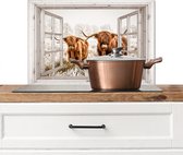 Spatscherm keuken 70x50 cm - Kookplaat achterwand Doorkijk - Schotse hooglander - Dieren - Muurbeschermer - Spatwand fornuis - Hoogwaardig aluminium