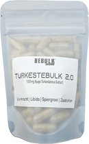 Supplementen - TurkesteBulk 2.0 - Turkesterone 1000mg - BeBulk Nutrition - 180 Capsules