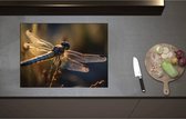 Inductieplaat Beschermer - Blauwe libel staat op bloem met gedetaileerde doorzichtige vleugels - 71x52 cm - 2 mm Dik - Inductie Beschermer - Bescherming Inductiekookplaat - Kookplaat Beschermer van Zwart Vinyl