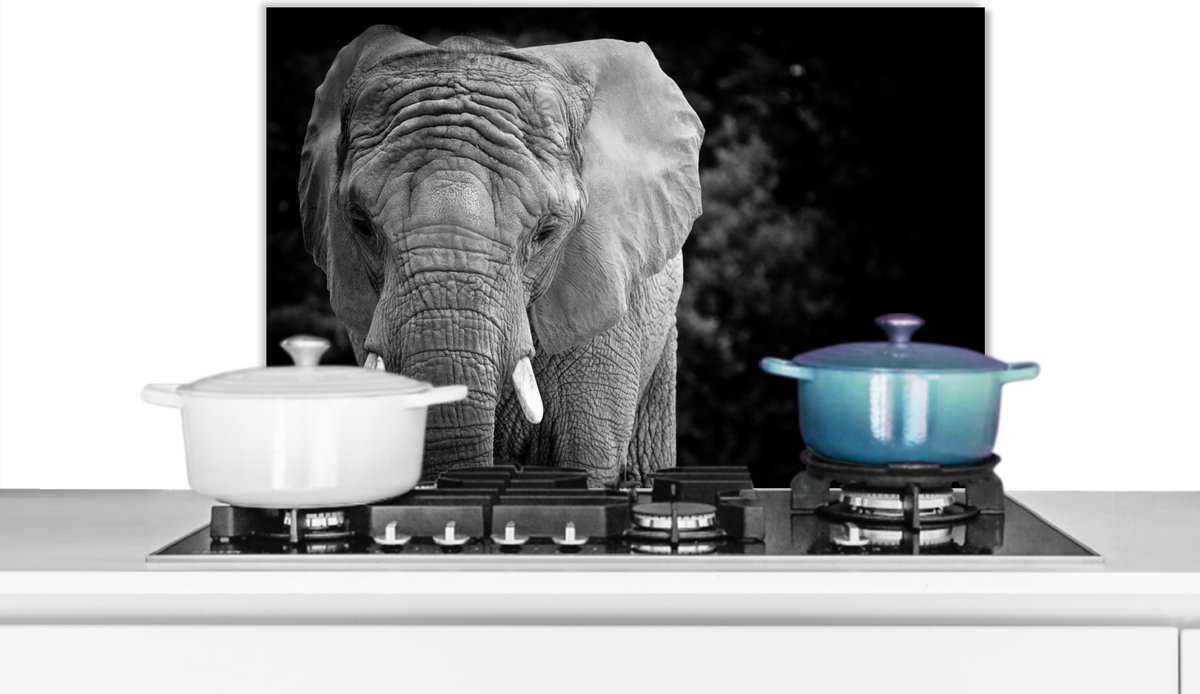 Spatscherm keuken 70x50 cm - Kookplaat achterwand Portret van een olifant in zwart-wit - Muurbeschermer - Spatwand fornuis - Hoogwaardig aluminium