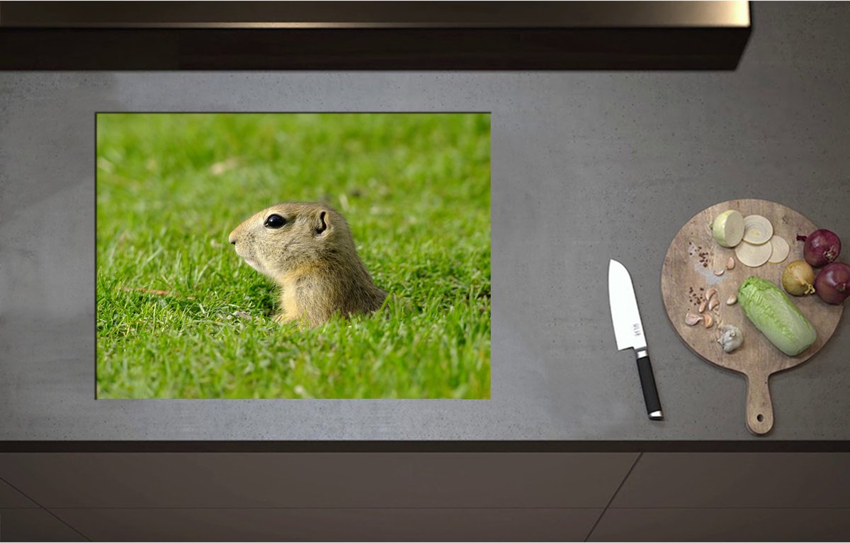 Inductieplaat Beschermer - Baby Goffer Komt uit de Grond - 70x51 cm - 2 mm Dik - Inductie Beschermer - Bescherming Inductiekookplaat - Kookplaat Beschermer van Wit Vinyl