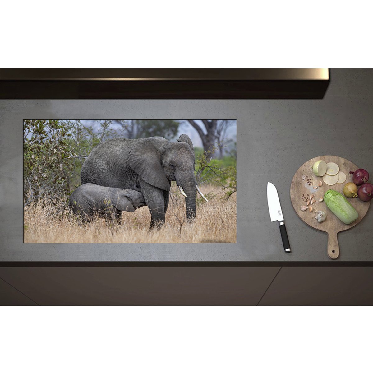 Inductieplaat Beschermer - Babyolifant drinkend bij Moederolifant tussen Hoge Droge Grassen - 85x50 cm - 2 mm Dik - Inductie Beschermer - Bescherming Inductiekookplaat - Kookplaat Beschermer van Wit Vinyl