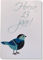Hoera 13 Jaar! Luxe verjaardagskaart - 12x17cm - Gevouwen Wenskaart inclusief envelop - Leeftijdkaart