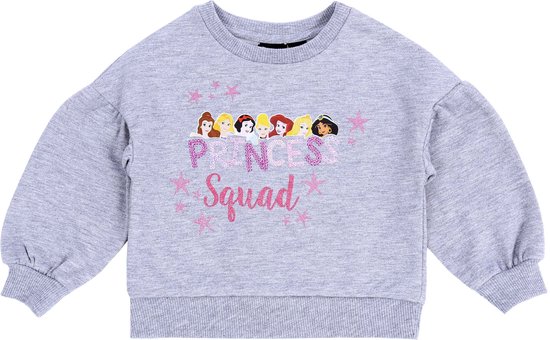 Grijs PRINCESS DISNEY sweatshirt