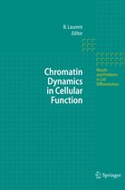 Chromatin Dynamics in Cellular Function