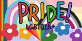 LGBTQIA+ Pride Spandoek 50x100cm