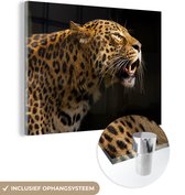 MuchoWow® Glasschilderij 160x120 cm - Schilderij acrylglas - Zijaanzicht van een luipaard weergegeven op een zwarte achtergrond - Foto op glas - Schilderijen