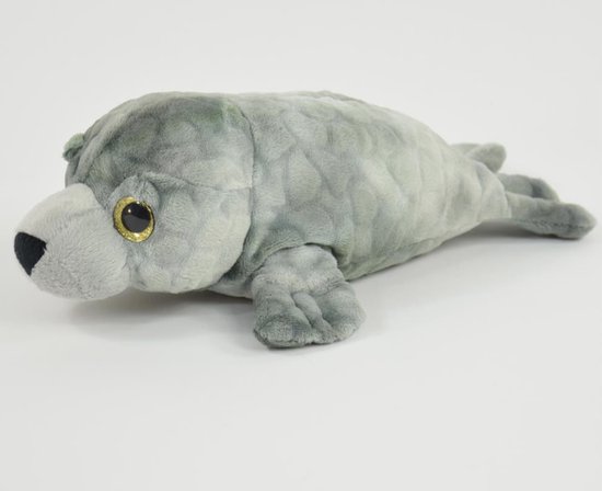 Gewone zeehond | Alle informatie - Beekse Bergen