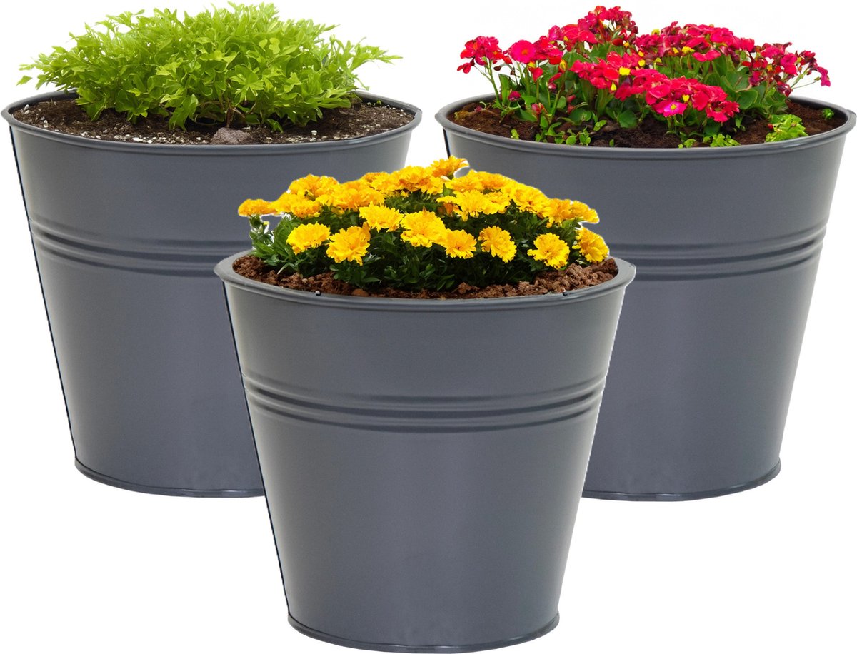 Goedkoopste Mega Collections plantenpot/bloempot Bob - 3x - zink - antraciet - D11 X H10 cm