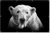 Muurdecoratie Portretfoto ijsbeer op zwarte achtergrond in zwart-wit - 180x120 cm - Tuinposter - Tuindoek - Buitenposter