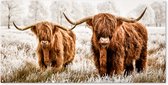 Schuttingposter Schotse hooglander - Dieren - Koe - 200x100 cm - Tuindoek