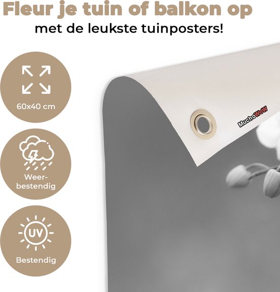 Décoration de jardin Orchidée - Fleurs - Plante - Wit - Violet - 60x40 cm - Poster jardin - Toile jardin - Poster extérieur