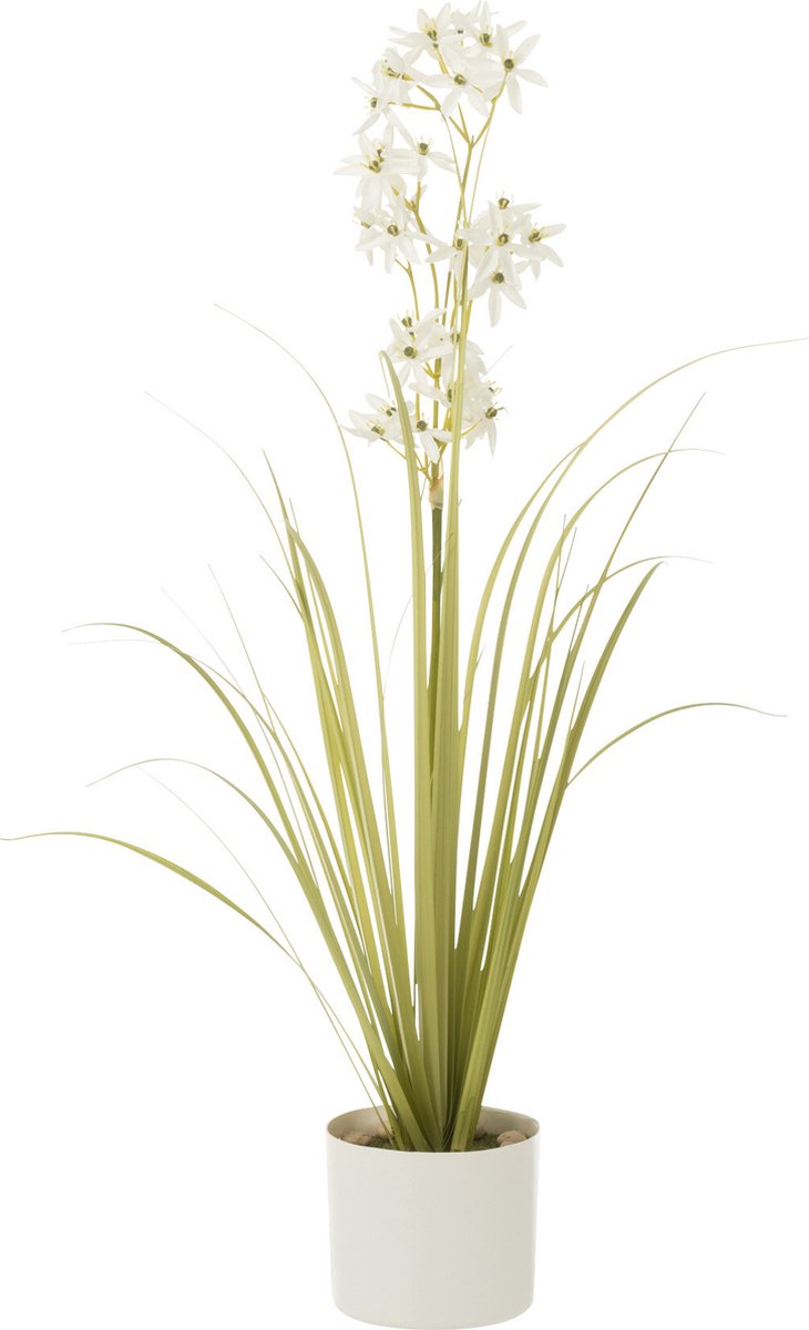 J-Line plant Allium in pot - kunststof - groen/wit - small