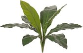 Jungle King - Anthurium - Kunstplant - 70 cm