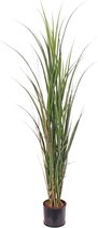 Suikerriet - Grasplant - Kunstplant - 115 cm