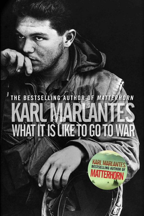 What It Is Like to Go to War - cover