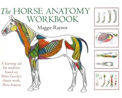 Horse Anatomy Workbook
