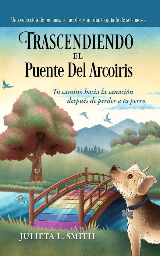 Trascendiendo El Puente Del Arcoiris - cover