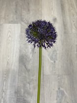 Brynxz - branche de soie - allium - Perfect Purple Blue - 75cm
