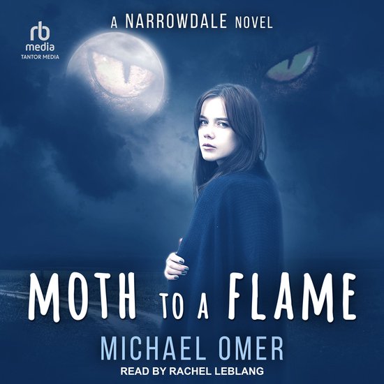 Moth to a Flame - cover