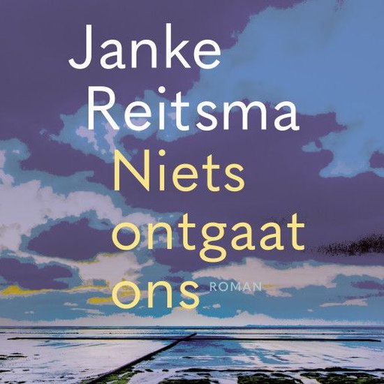 Niets ontgaat ons - cover