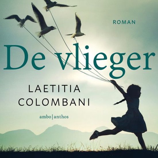 De vlieger - cover