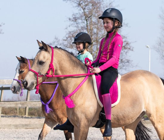 Foto: Qhp touwhalster met teugel fuchsia shet