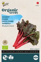 Buzzy Organic Snijbiet Rhubard Chard BIO - Kleurrijke en Voedzame Snijbiet voor Biologische Tuinen