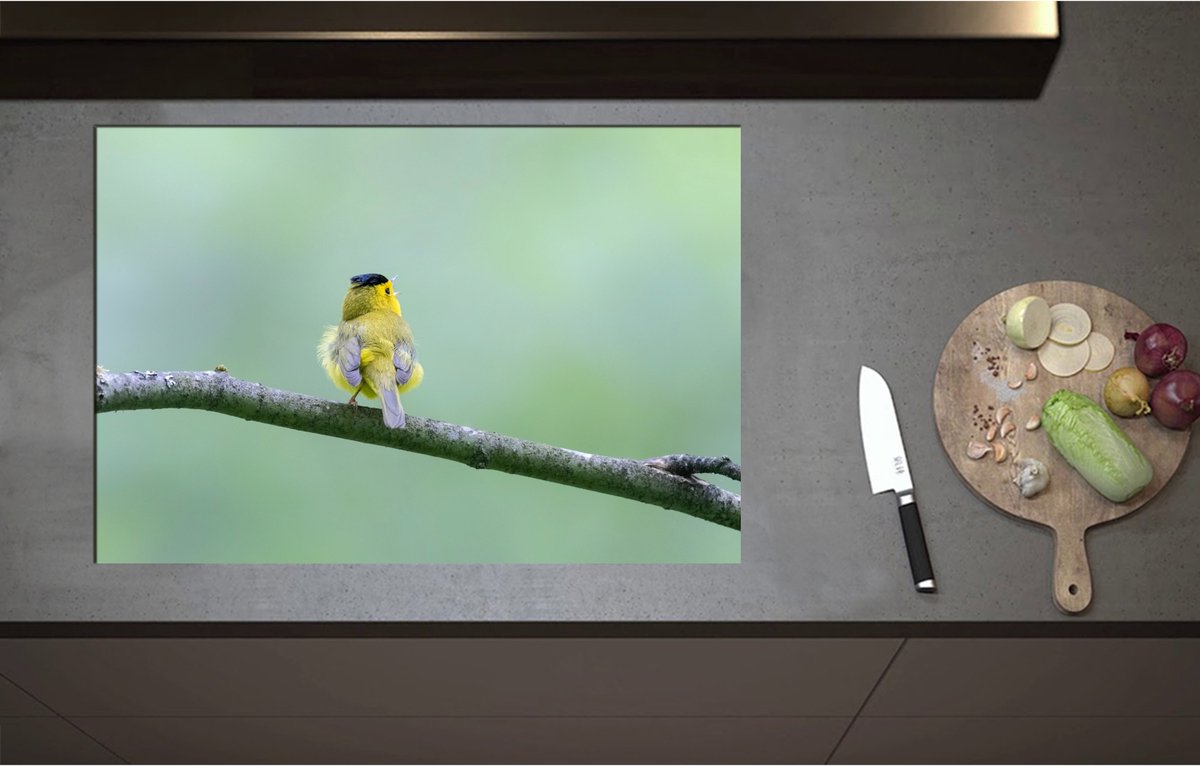 Inductieplaat Beschermer - Achteraanzicht van Zingend Geel Wilsons Vogeltje op een Tak - 80x55 cm - 2 mm Dik - Inductie Beschermer - Bescherming Inductiekookplaat - Kookplaat Beschermer van Wit Vinyl