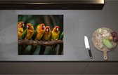 Inductieplaat Beschermer - Ara papegaaien zitten op een rijtje langs elkaar op een tak - 58x52 cm - 2 mm Dik - Inductie Beschermer - Bescherming Inductiekookplaat - Kookplaat Beschermer van Zwart Vinyl