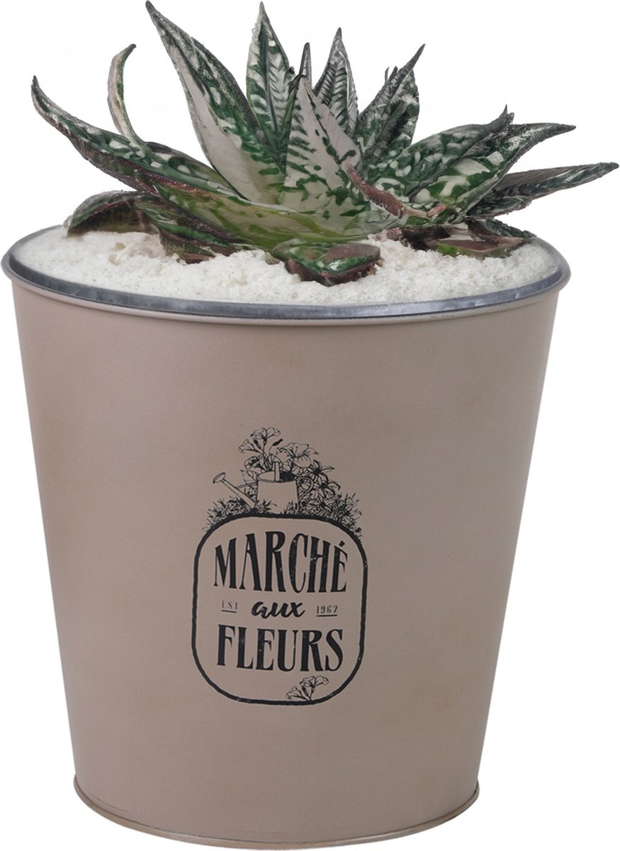 Goedkoopste Sunnydays Emmer/plantenpot/bloempot - zink - taupe - D23 x H22 cm