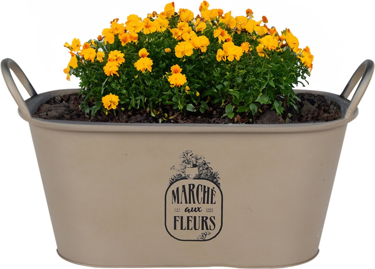 Goedkoopste Sunnydays Teil/plantenpot/bloempot - zink - taupe - L39 x B16 x H21 cm