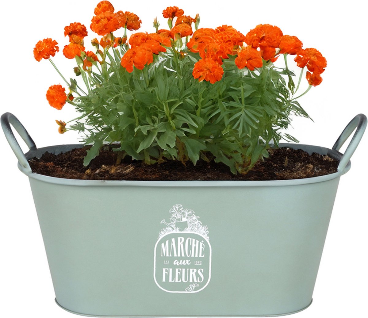 Goedkoopste Sunnydays Teil/plantenpot/bloempot - zink - jadegroen - L39 x B16 x H21 cm