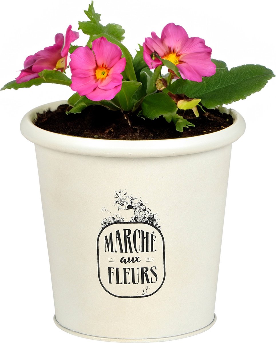 Goedkoopste Sunnydays /plantenpot/bloempot - zink - ivoorwit - D14 x H13 cm