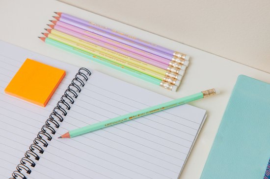 BIC Evolution - Grafietpotloden - Kinderen en volwassenen - Grijs - Potlood - 12 Stuks