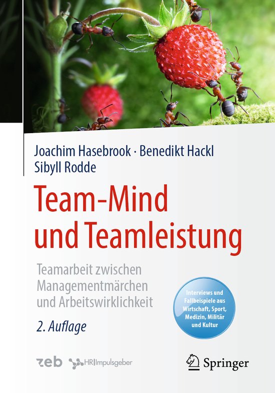 Team Mind und Teamleistung - cover