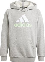 Adidas Essentials 2 Coloured Big Logo Capuchon Grijs 15-16 Years Jongen