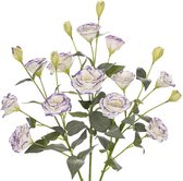 Bastix - Set van 3 kunstbloemen Platycodon-bloemen als echte lente decoratieve bloemen voor bruiloftskamer woondecoratie woonkamer kantoor bruiloftsboeket party bloemstuk, wit-paars