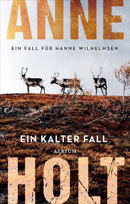 Hanne-Wilhelmsen-Reihe 9 - Ein kalter Fall - cover
