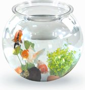 Mobiclinic Nemo - Aquarium transparent 4L - PET écologique - Facile à nettoyer - Pièce maîtresse - Jardin aquatique