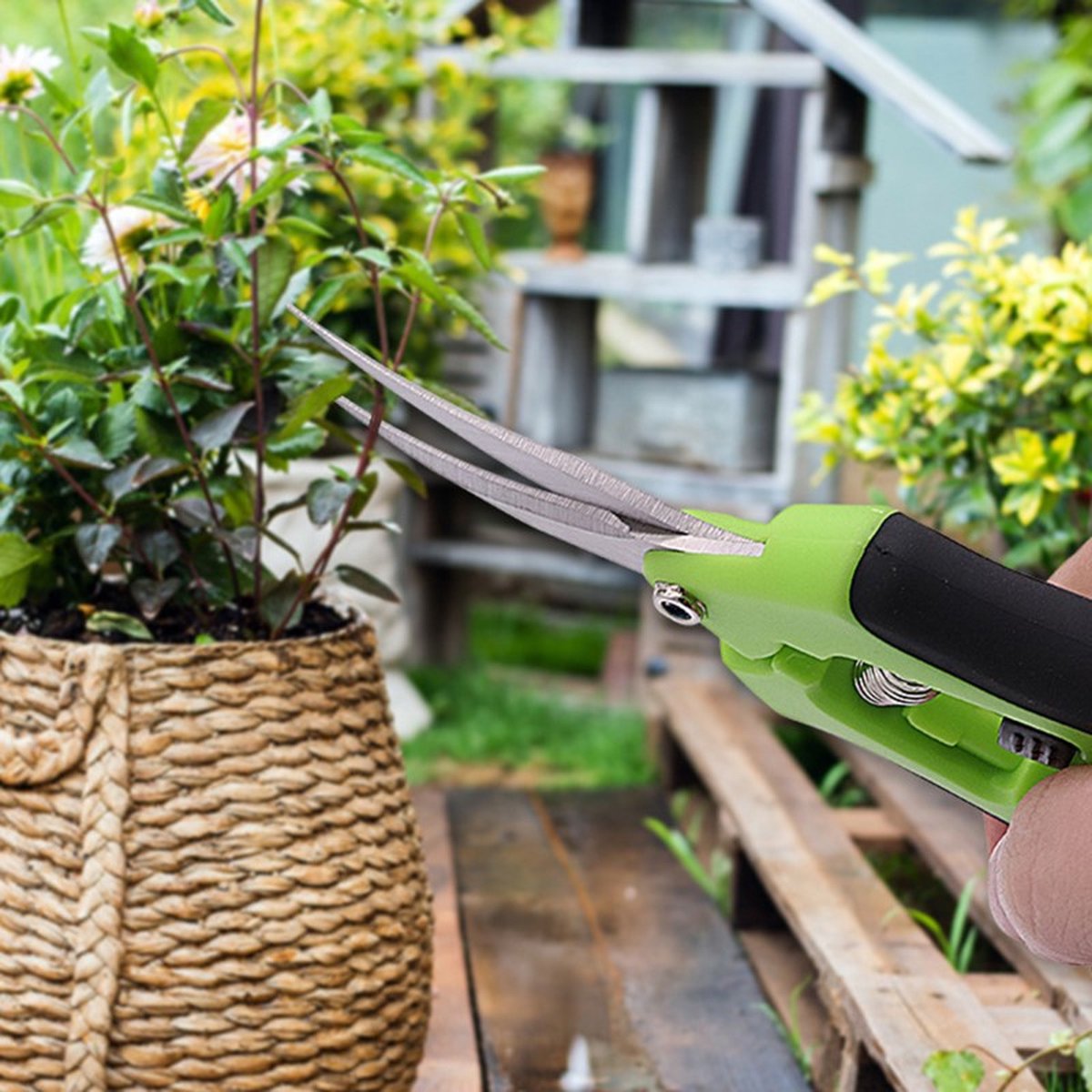 Snoeischaar Blad Trimmer Tuinschaar Bloemenschaar RVS Schaar Takkenschaar Knipschaar Bloemenschaar Heggenschaar Plantenschaar Fruitschaar Schaar Trimmer Elleboog Trimmer Elbow Groen Green